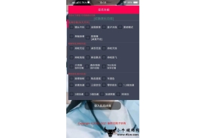 和平精英辅助外挂网使用技巧与安全下载指南_